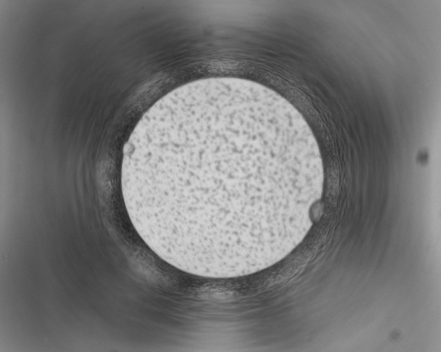 X0000116600648201001221258