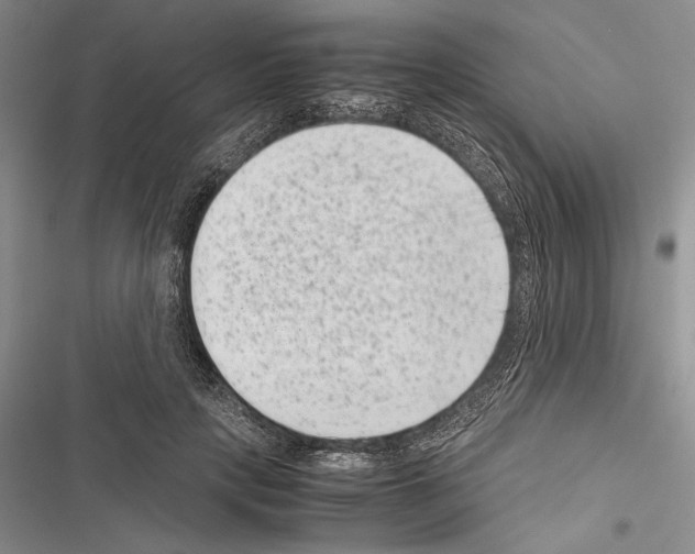 X0000116600649201001221258