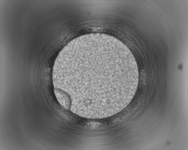X0000116600650201001221259
