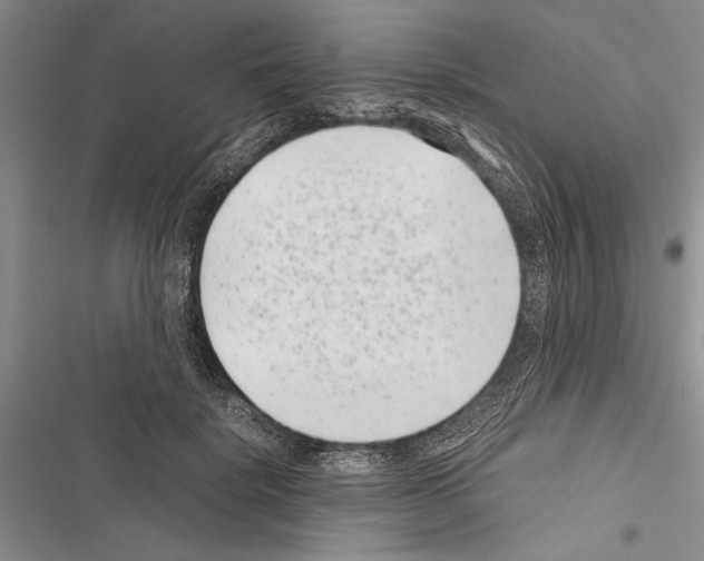 X0000116600652201001221259