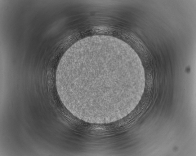 X0000116600653201001221259