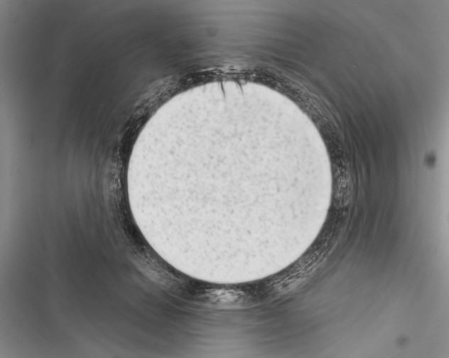 X0000116600654201001221259