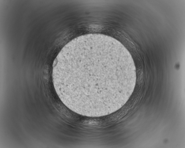 X0000116600655201001221259