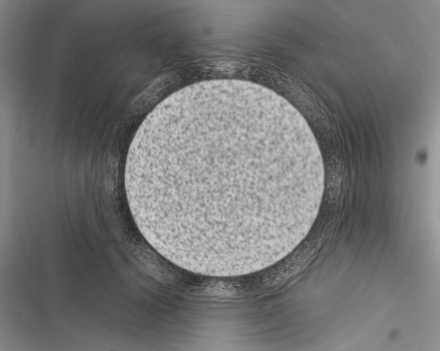 X0000116600656201001221259