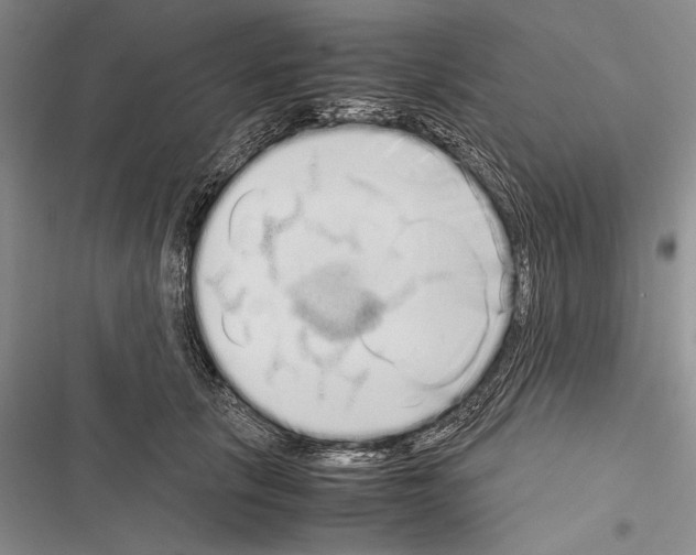 X0000116600657201001221259