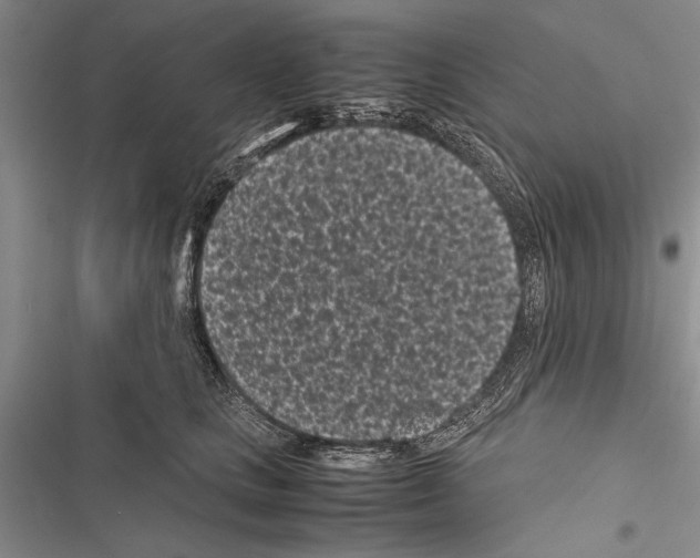 X0000116600661201001221259