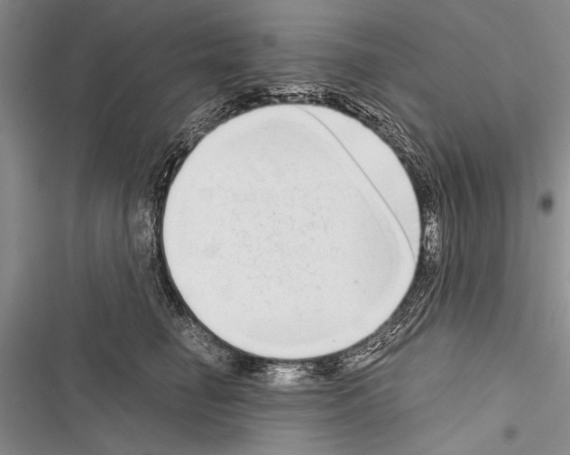 X0000116600662201001221259