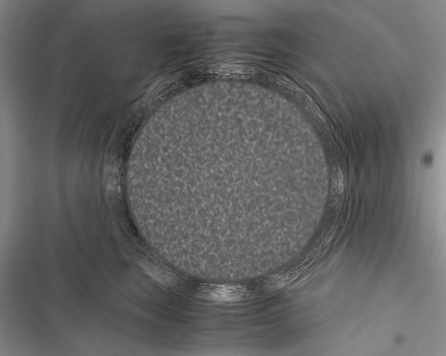 X0000116600663201001221259