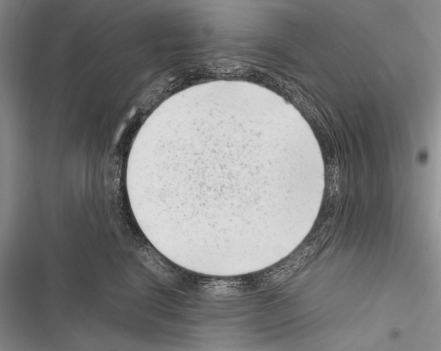 X0000116600664201001221259