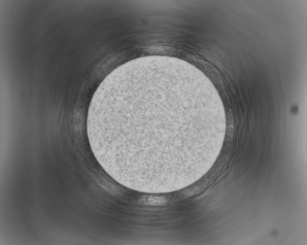 X0000116600665201001221259