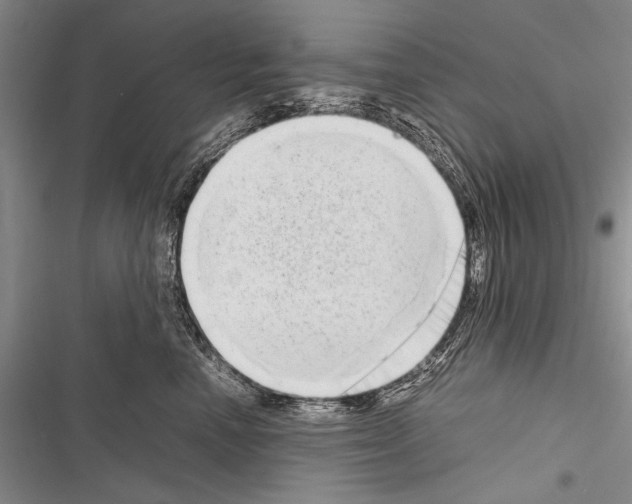 X0000116600666201001221259