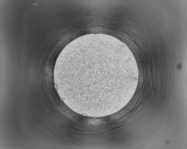 X0000116600669201001221259