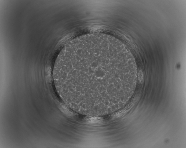 X0000116600670201001221259