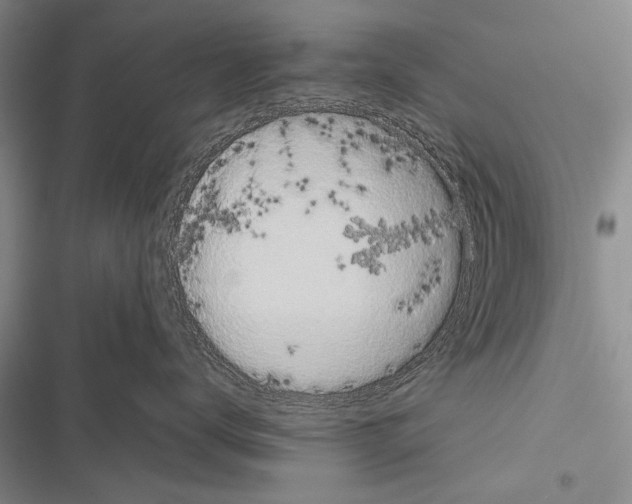 X0000116600672201001221259