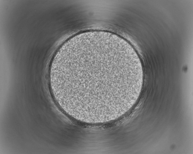 X0000116600673201001221258