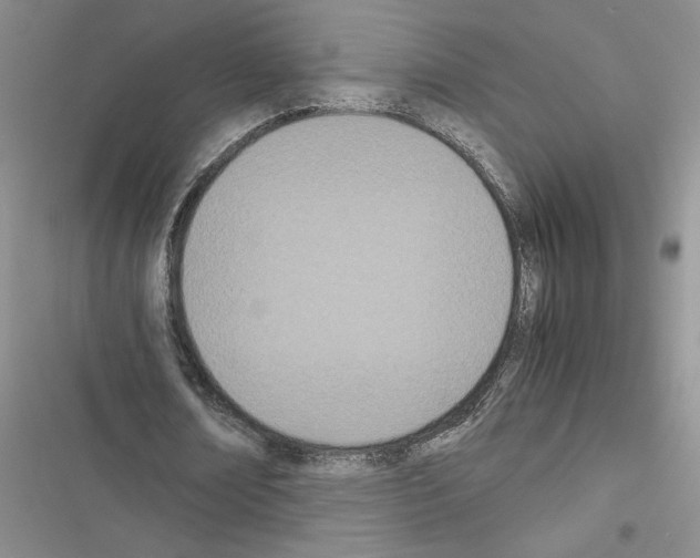 X0000116600674201001221258