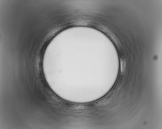 X0000116600675201001221258