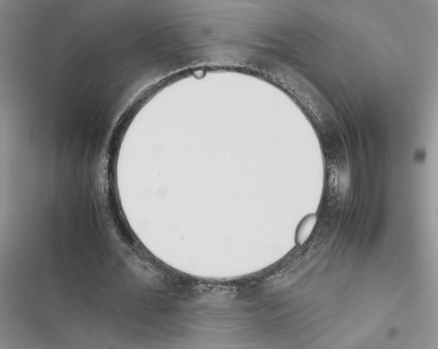 X0000116600676201001221258