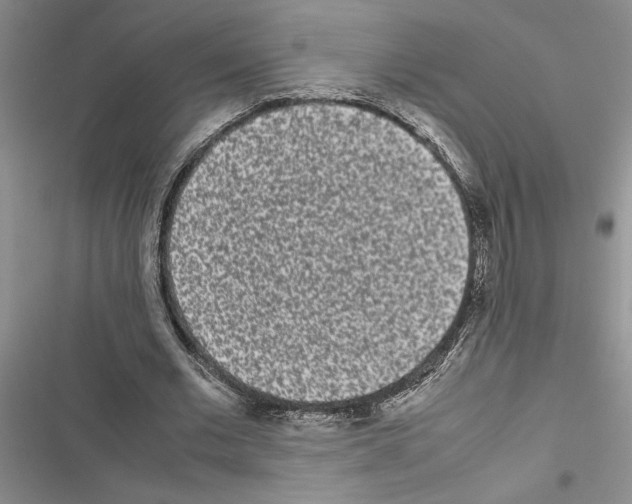 X0000116600677201001221258