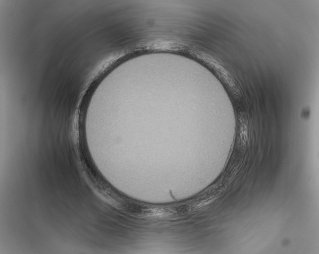 X0000116600678201001221258