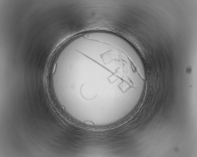 X0000116600680201001221258