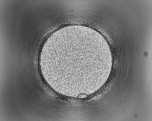 X0000116600681201001221258