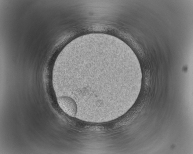X0000116600683201001221258