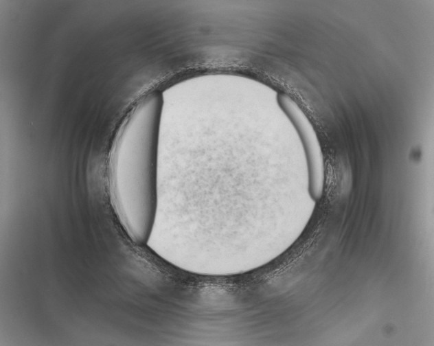 X0000116600684201001221258