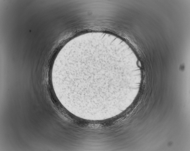 X0000116600685201001221258