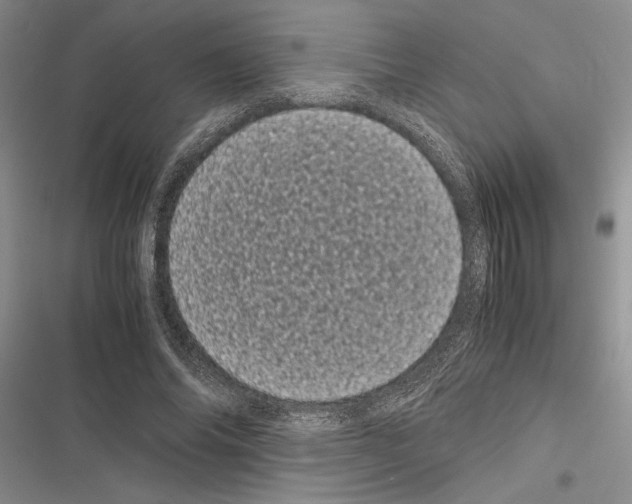 X0000116600686201001221258