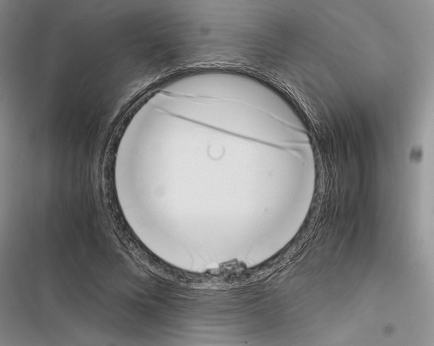 X0000116600688201001221258