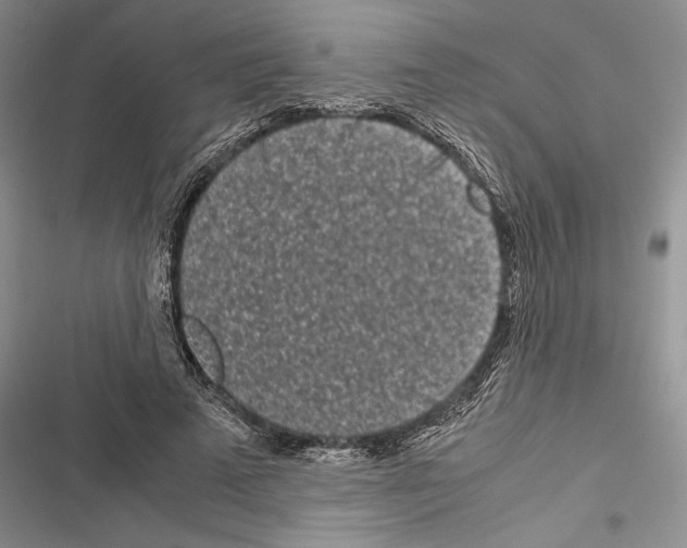 X0000116600689201001221258