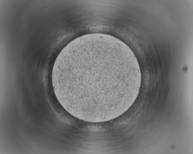 X0000116600690201001221258