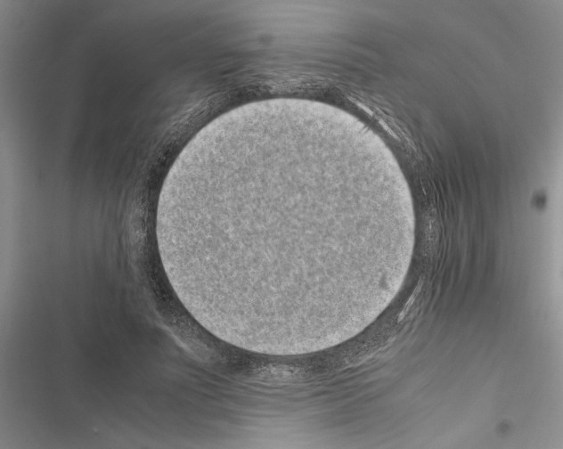 X0000116600691201001221258