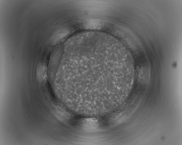 X0000116600692201001221258