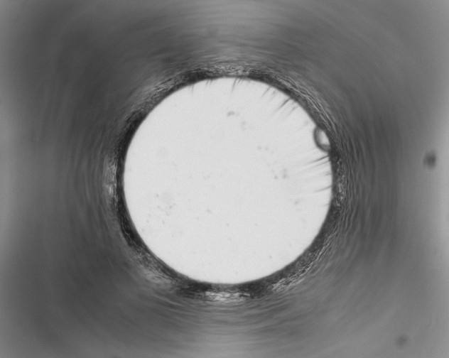X0000116600693201001221258