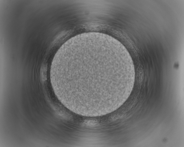 X0000116600694201001221258