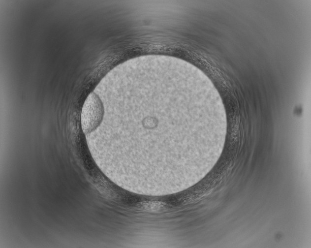 X0000116600695201001221258