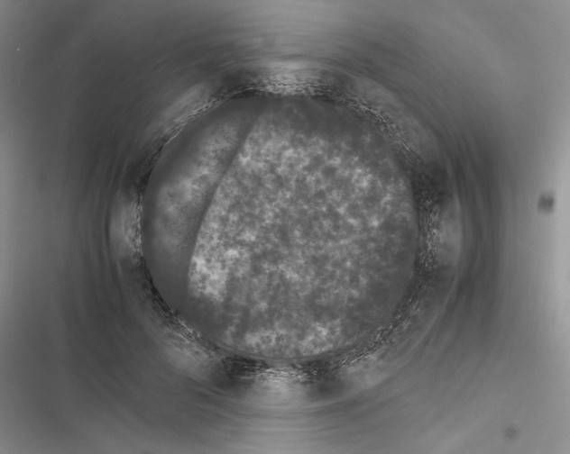 X0000116600696201001221258