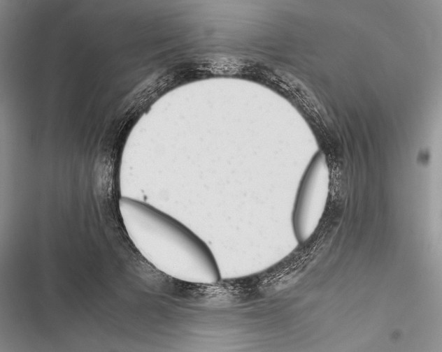 X0000116600697201001221258