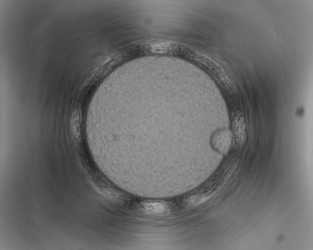 X0000116600698201001221258