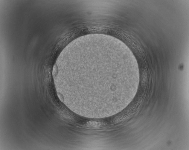 X0000116600699201001221258