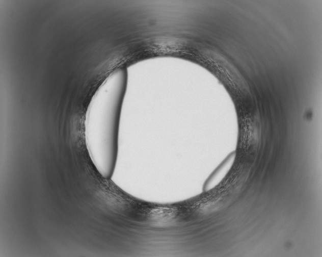 X0000116600700201001221258