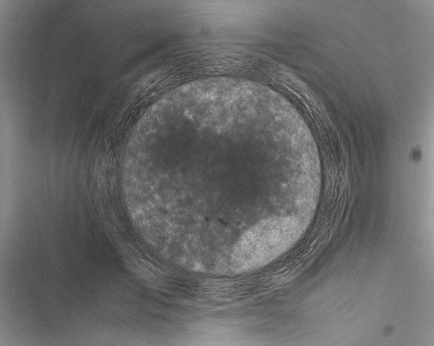 X0000116600701201001221258