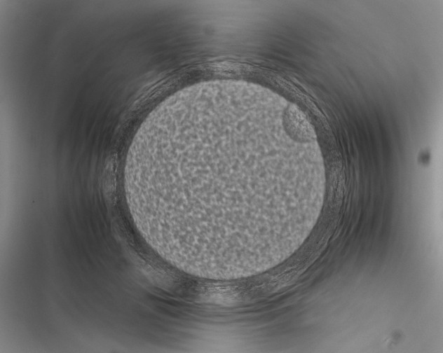 X0000116600702201001221258