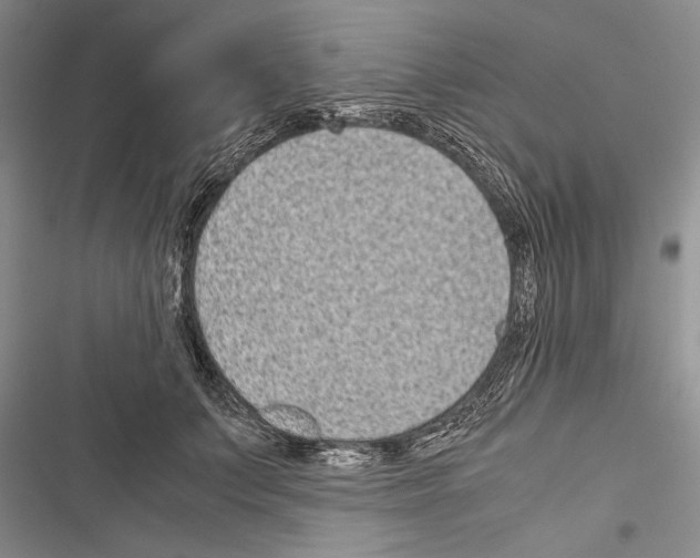 X0000116600703201001221258