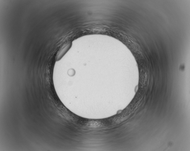 X0000116600704201001221258