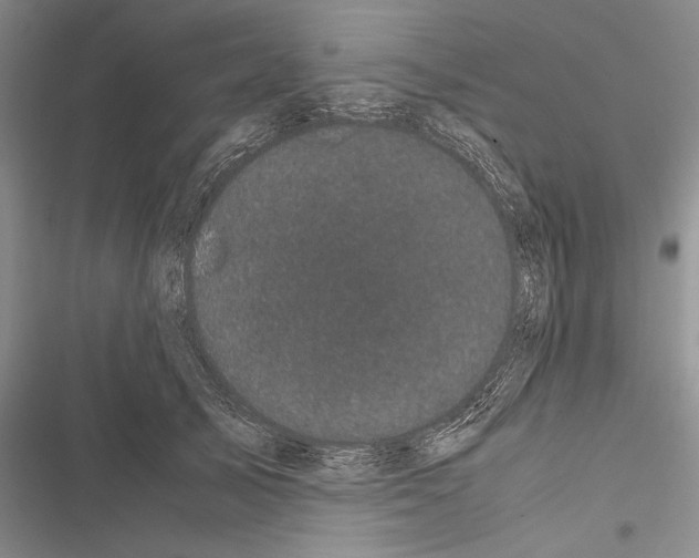 X0000116600705201001221258