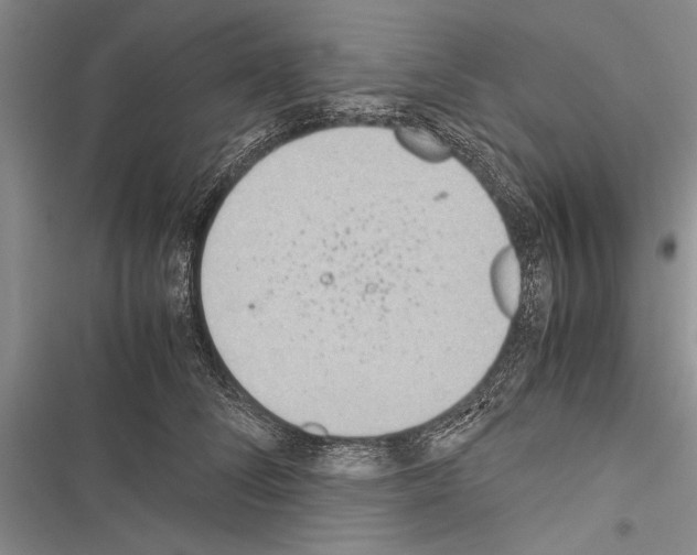 X0000116600708201001221258