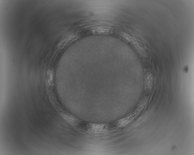 X0000116600709201001221258